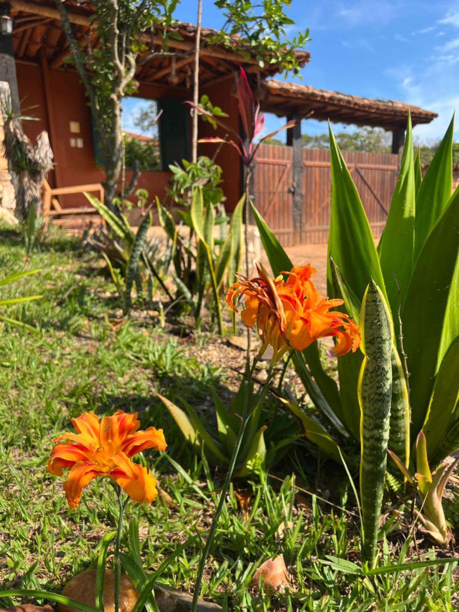 Inn Refazenda - Milho